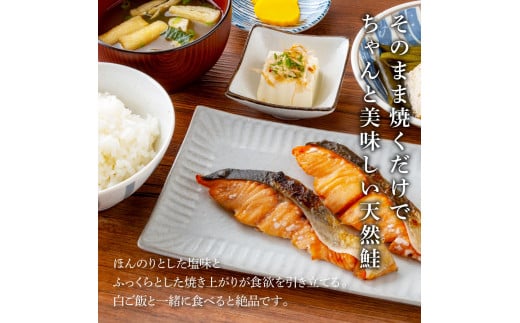 KYF143　【CF-R5cbs】 鮭の切身1.6kg 32切れ サケ さけ 切り身 シャケ しゃけ 天然鮭 鮭 切り身 冷凍 切身 真空パック お弁当 おかず 料理 美味しい そのまま焼くだけ 簡単