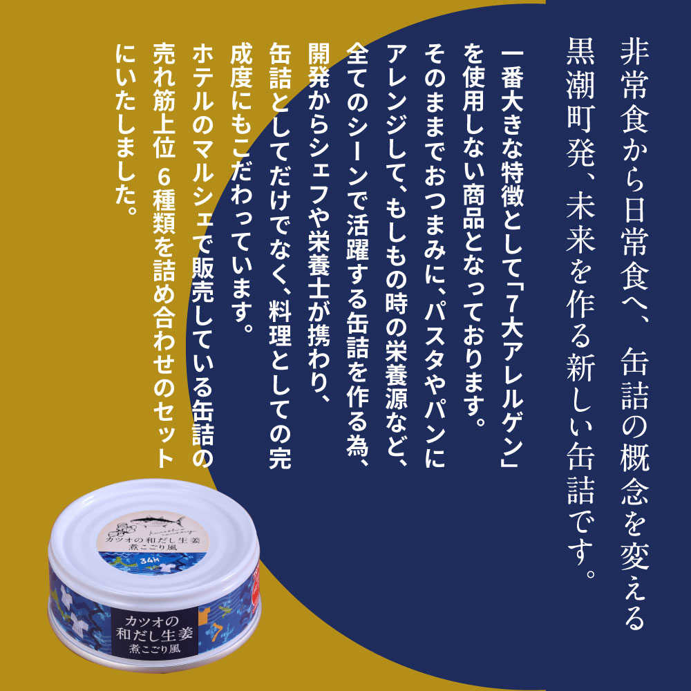 RHT022　【CF-R5cbs】ホテルおすすめ！黒潮町の缶詰セット［6種セレクト］〈黒潮町共通返礼品〉