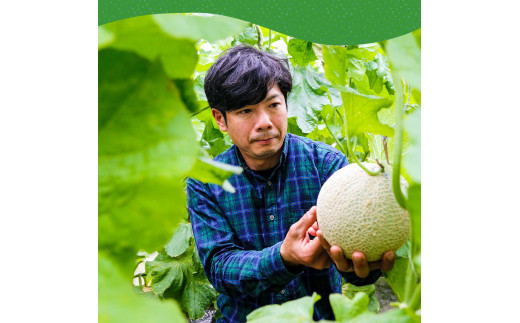 SKS024　【CF-R5cbs】 “高知県産”高級マスクメロン（ご家庭用）2玉入【発送期間：4月～12月（9カ月）】【1月～3月は気候温度不安定の為出荷不可となります。】〈南国市共通返礼品〉