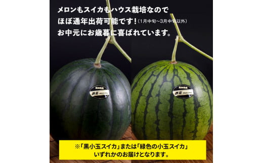 SKS025　【CF-R5cbs】 “高知県産”高級マスクメロン＆小玉スイカセット〈【1月～3月は気候温度不安定の為出荷不可となります。】南国市共通返礼品〉