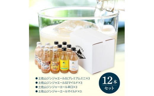 SKS049　【CF-R5cbs】 土佐山ジンジャーエール飲み比べ12本セット