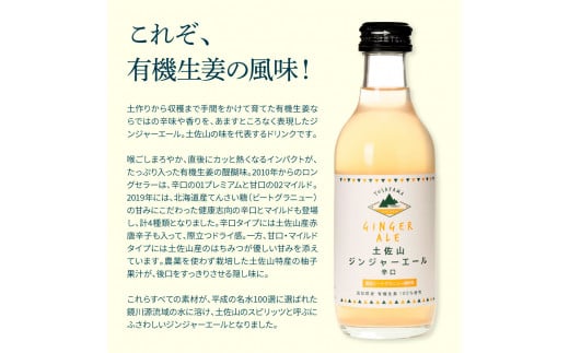 SKS050　【CF-R5cbs】 土佐山ジンジャーエール辛口12本セット