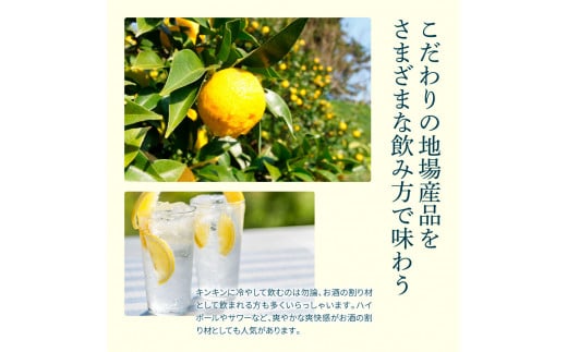 SKS052　【CF-R5cbs】 土佐山ゆずスカッシュ12本セット