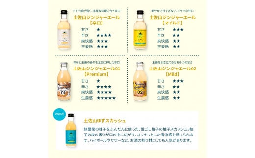 SKS053　【CF-R5cbs】 土佐山ジンジャーエール辛口20本セット