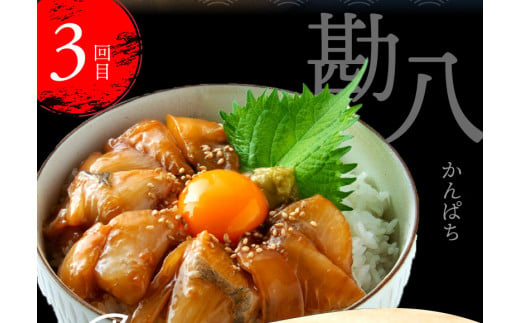 t021kyf　【CF-R5cbs】 《3ヶ月定期便》土佐の漬け丼づくし3ヶ月定期便〈高知市共通返礼品〉