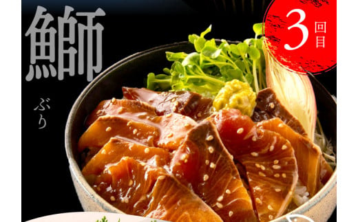 t022kyf　【CF-R5cbs】 《4ヶ月定期便》芸西村人気海鮮の4ヶ月定期便〈高知県・高知市共通返礼品〉