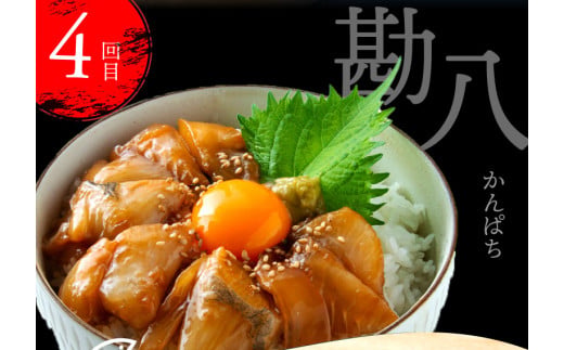 t022kyf　【CF-R5cbs】 《4ヶ月定期便》芸西村人気海鮮の4ヶ月定期便〈高知県・高知市共通返礼品〉