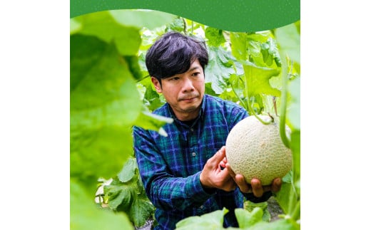 t063sks　【CF-R5cbs】 《6ヵ月定期便》“高知県産”高級マスクメロン（ご贈答・ギフト用）1玉入【発送期間：4月～12月（9カ月）】【1月～3月は気候温度不安定の為出荷不可となります。】〈南国市共通返礼品〉