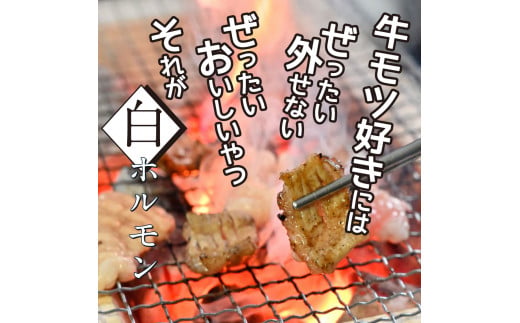 TKA005　【CF-R5cbs】 白ホルモン 天下味オリジナル本格塩ダレ漬け（150ｇ×6パック） ＃食べて応援