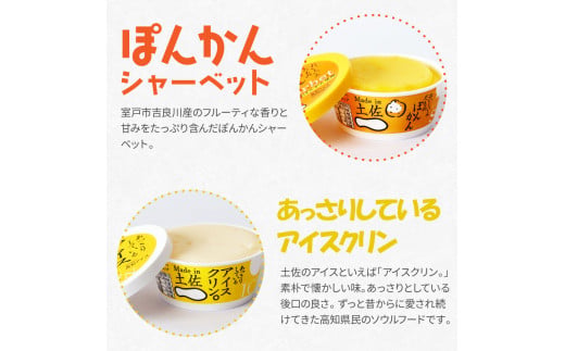 TKA014　【CF-R5cbs】 Made in 土佐のアイスクリンと柑橘シャーベットセット
