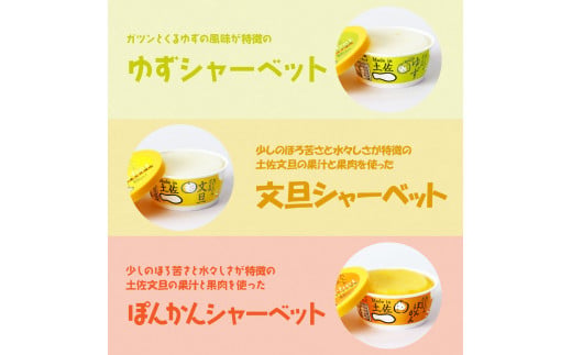 TKA015　【CF-R5cbs】 おいしいんだもの 高知アイスセット