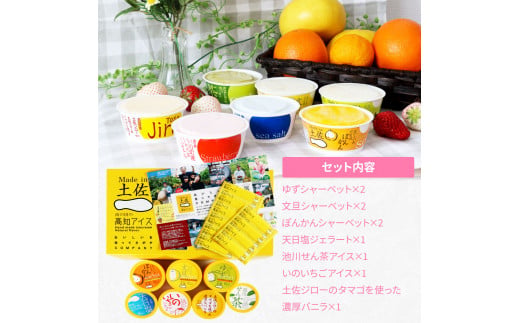 TKA015　【CF-R5cbs】 おいしいんだもの 高知アイスセット