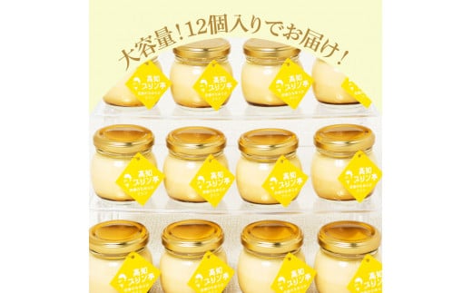 TKA024　【CF-R5cbs】 究極のなめらかプリンセット12個入り