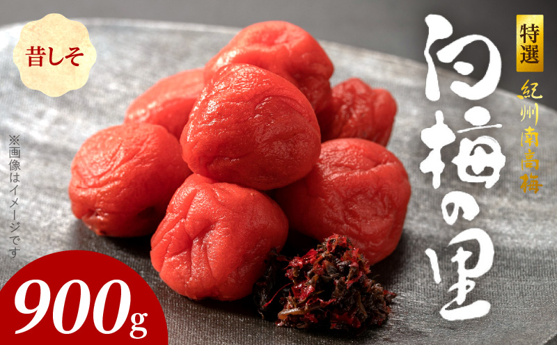 ya̎RLcS󒬁zSF1002_IIB썂~u~̗v̂@900