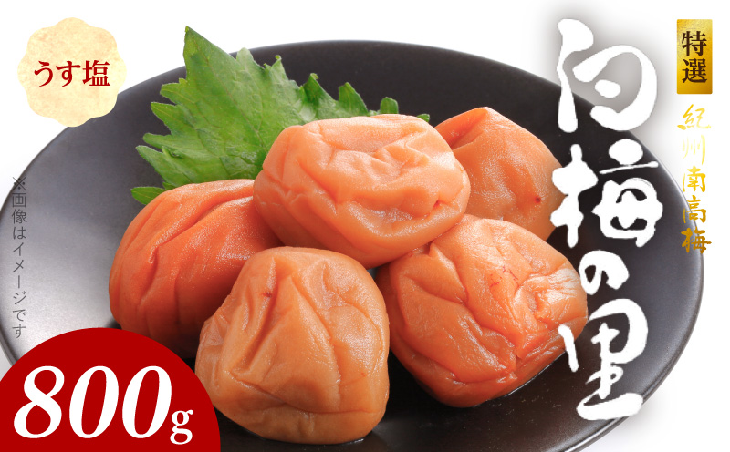 SF2000_特選紀州南高梅「白梅の里」うす塩味　800ｇ