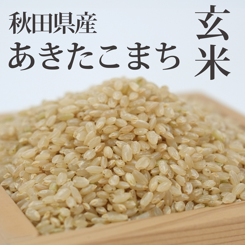 秋田県三種町のふるさと納税 《令和7年産 新米先行受付》秋田県産 あきたこまち 10kg(10kg×1袋)【玄米】令和7年産