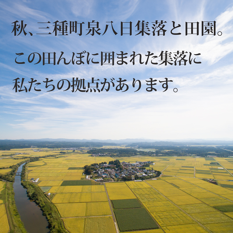 秋田県三種町のふるさと納税 《令和7年産 新米先行受付》秋田県産 あきたこまち 10kg(10kg×1袋)【玄米】令和7年産
