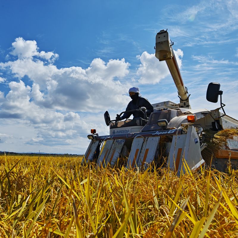 秋田県三種町のふるさと納税 《令和7年産》《定期便3ヶ月》秋田県産 あきたこまち 10kg(10kg×1袋)×3回【玄米】計30kg 令和7年産