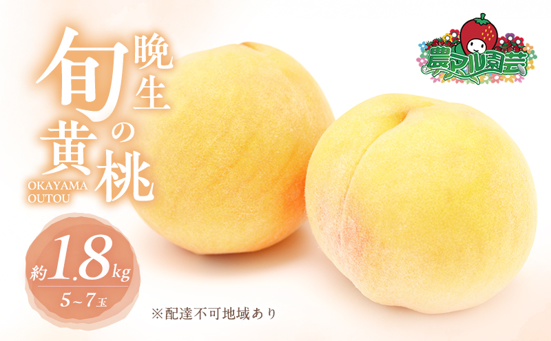 yRԔ֎sz 2026N s\ Ӑ̏{  1.8kg 5`7 ip  t[c ʕ R Ԕ֎sY _}|_