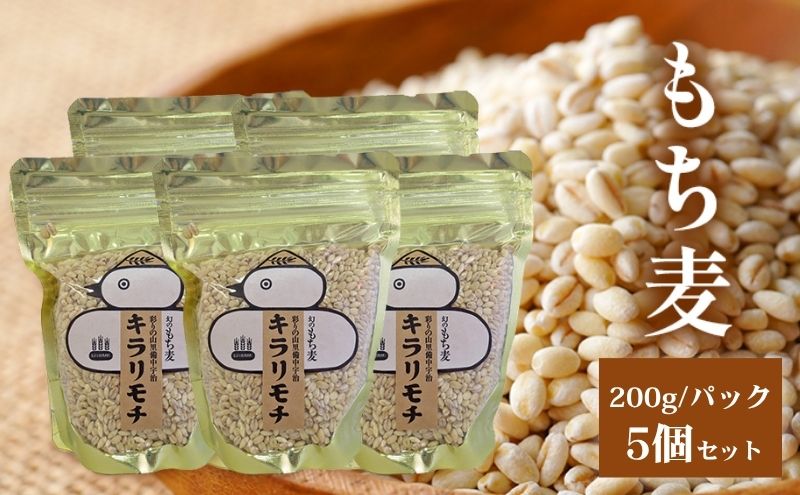 ⭐︎おもち⭐︎ AR専門店 備中松山城 ならい きねつき豆餅（6個入り）×5セット お餅 おもち もち