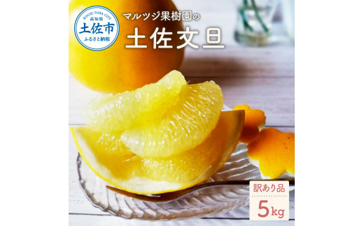 【先行予約】マルツジ果樹園の土佐文旦訳あり品（約5kg） 訳あり 文旦 土佐文旦 ぶんたん ブンタン 期間限定 数量限定 2L～4Lサイズ 8～11個 果物 柑橘 フルーツ 高知県産 家庭用 傷 美味しい