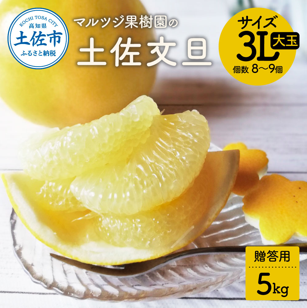 【先行予約受付】文旦 約5kg 土佐文旦 大玉 贈答用 ぶんたん ブンタン 期間限定 数量限定 3Lサイズ 8～9個 果物 柑橘 フルーツ 高知県産 土佐市産 ギフト 美味しい おいしい 春 旬