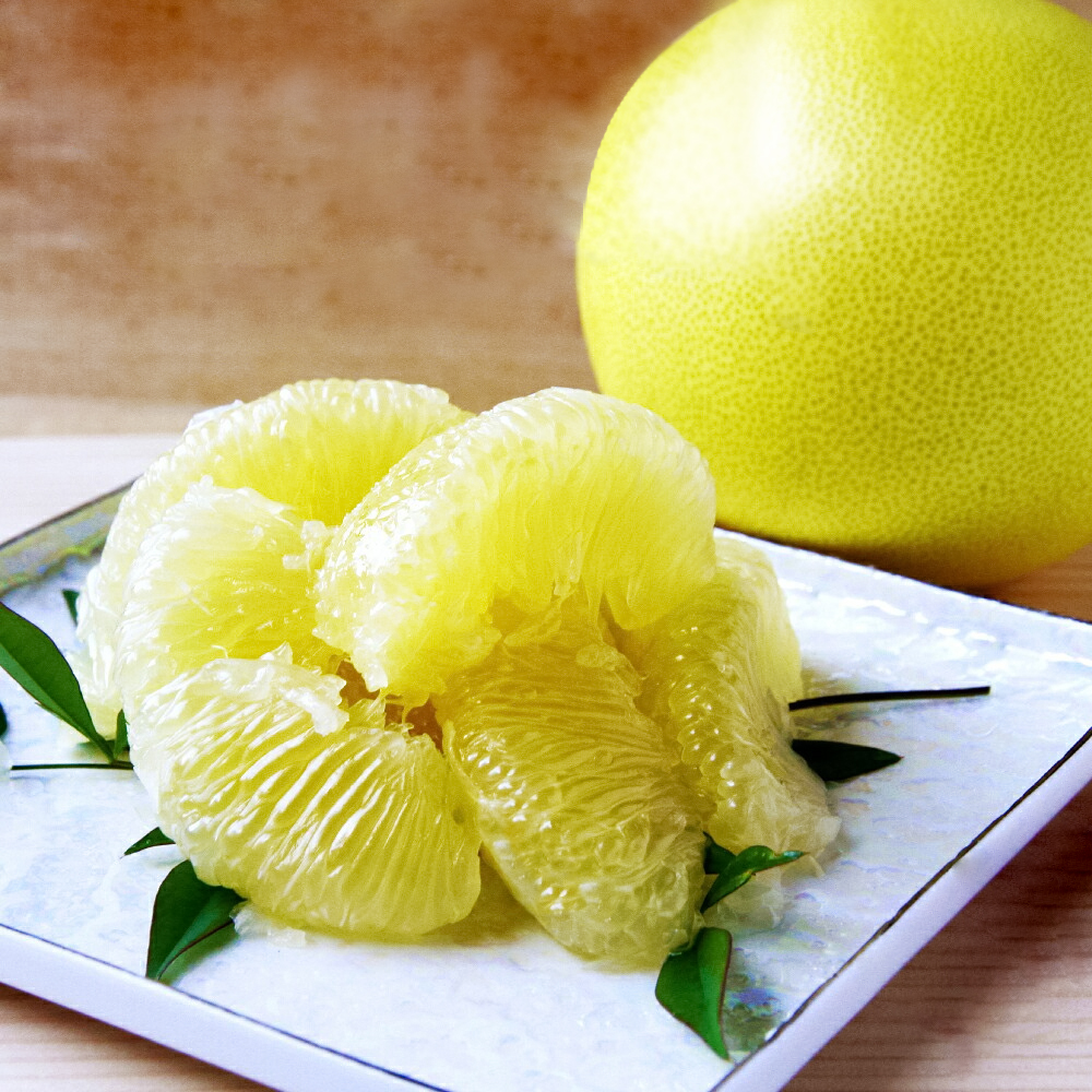 石元農園の土佐文旦　贈答用　約５キロ（７～１２玉） 期間限定 先行予約 土佐文旦 文旦 5kg ブンタン ぶんたん 果物 柑橘 フルーツ 高知県産 お取り寄せグルメ ギフト 贈答 贈り物 美味しい