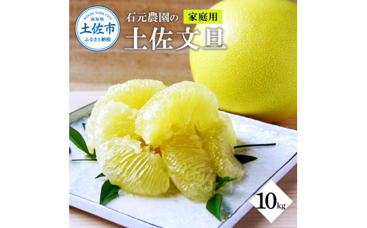 土佐文旦　10キロ　を2箱　30 石元農園の土佐文旦 家庭用 約10キロ（14～22玉） 期間