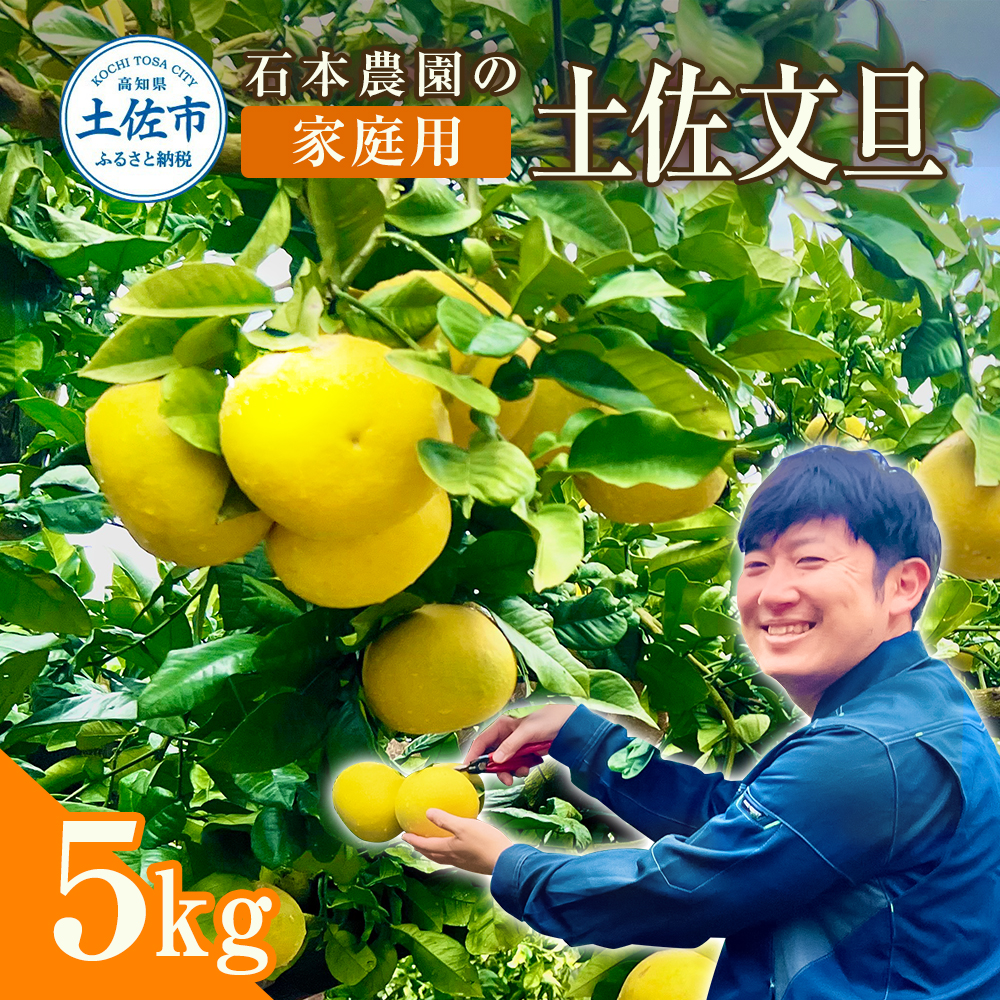 ymyszΌ_̓yU ƒp TLiV`PQʁj Ԍ s\ yU U 5kg u^ Ԃ񂽂 ʕ k t[c mY ysY ƒp    