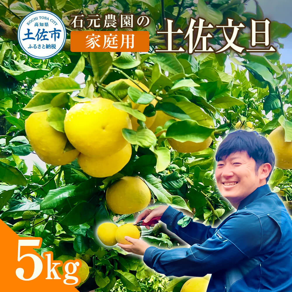 ymyszΌ_̓yU ƒp TLiV`PQʁj Ԍ s\ yU U 5kg u^ Ԃ񂽂 ʕ k t[c mY ysY ƒp    