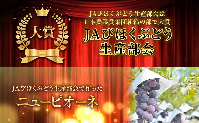 ニュー ピオーネ 約4kg ぶどう 葡萄 フルーツ 岡山 高梁市産 2026年 先行予約 果物類 果物 