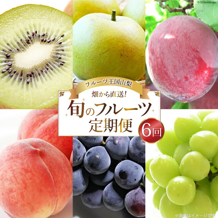 【先行受付】【6回 定期便】 フルーツ王国