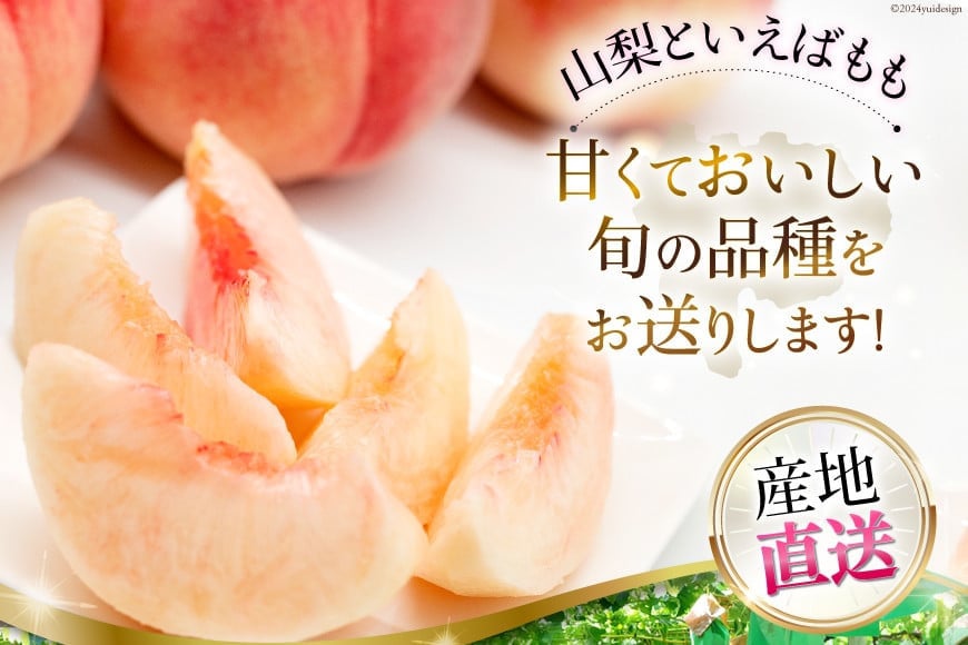 山梨県中央市のふるさと納税 【先行受付】【6回 定期便】 フルーツ王国 山梨県産 6種セット ／ えべし フルーツ 果物 くだもの 貴陽 すもも もも 桃 梨 なし ぶどう ブドウ 葡萄 シャインマスカット キウイ 新鮮 果実 産地直送 山梨県 中央市 【2026年7月上旬-2027年1月下旬発送予定】