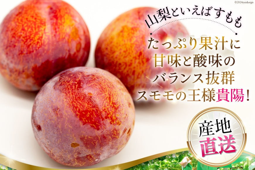 山梨県中央市のふるさと納税 【先行受付】【6回 定期便】 フルーツ王国 山梨県産 6種セット ／ えべし フルーツ 果物 くだもの 貴陽 すもも もも 桃 梨 なし ぶどう ブドウ 葡萄 シャインマスカット キウイ 新鮮 果実 産地直送 山梨県 中央市 【2026年7月上旬-2027年1月下旬発送予定】