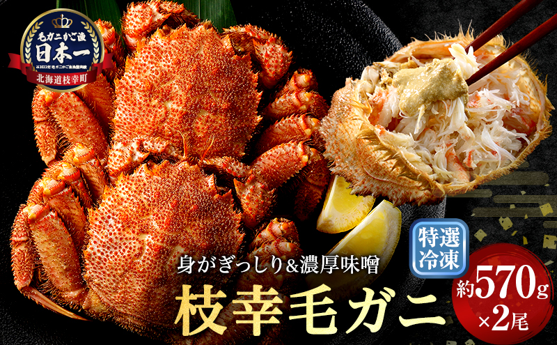【漁獲量日本一】至福の逸品！特選冷凍「枝幸