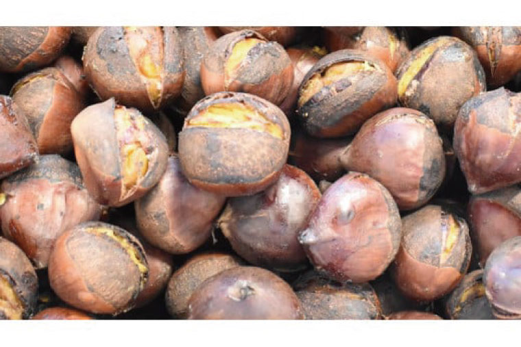 CS-5　【期間限定】【2025年10月中旬より順次発送】なめがたの焼き栗(300g×2袋)｜栗 焼き栗 焼栗 くり クリ 熟成 真空 真空パック 先行予約 茨城県 行方市(CS-5)