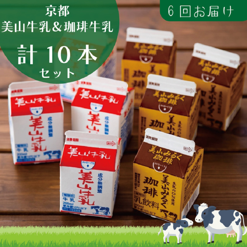【京都府南丹市】牛乳 定期便 6ヶ月 京都 美山牛乳 200ml ×5本 珈琲牛乳 ×5本 詰め合わせ セット 美山町 お取り寄せ コーヒー牛乳 パック 紙パック 200mL 定期 お楽しみ 6回 ※北海道・沖縄・離島への発送不可
