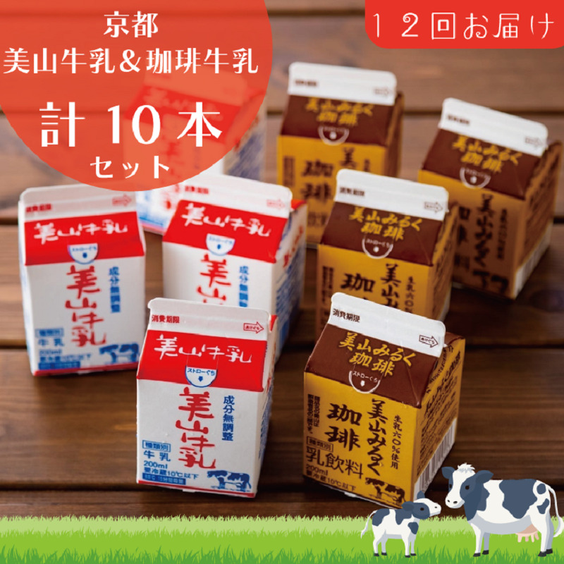 【京都府南丹市】牛乳 定期便 12ヶ月 京都 美山牛乳 200ml ×5本 珈琲牛乳 ×5本 詰め合わせ セット 美山町 お取り寄せ コーヒー牛乳 パック 紙パック 200mL 定期 お楽しみ 12回 ※北海道・沖縄・離島への発送不可