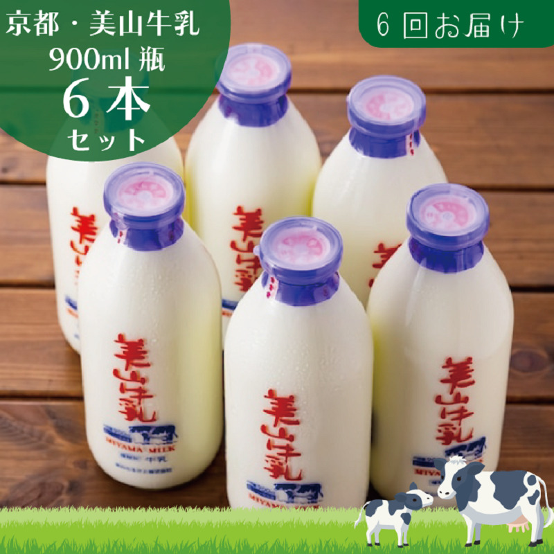 牛乳 定期便 6ヶ月 京都 美山牛乳 瓶 900ml ×6本 セット 美山町 お取り寄せ 定期 お楽しみ 6回 ※北海道・沖縄・離島への発送不可 