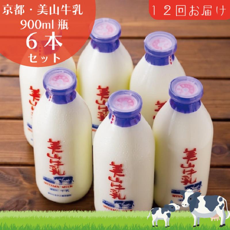牛乳 定期便 12ヶ月 京都 美山牛乳 瓶 900ml ×6本 セット 美山町 お取り寄せ 定期 お楽しみ 12回 ※北海道・沖縄・離島への発送不可 