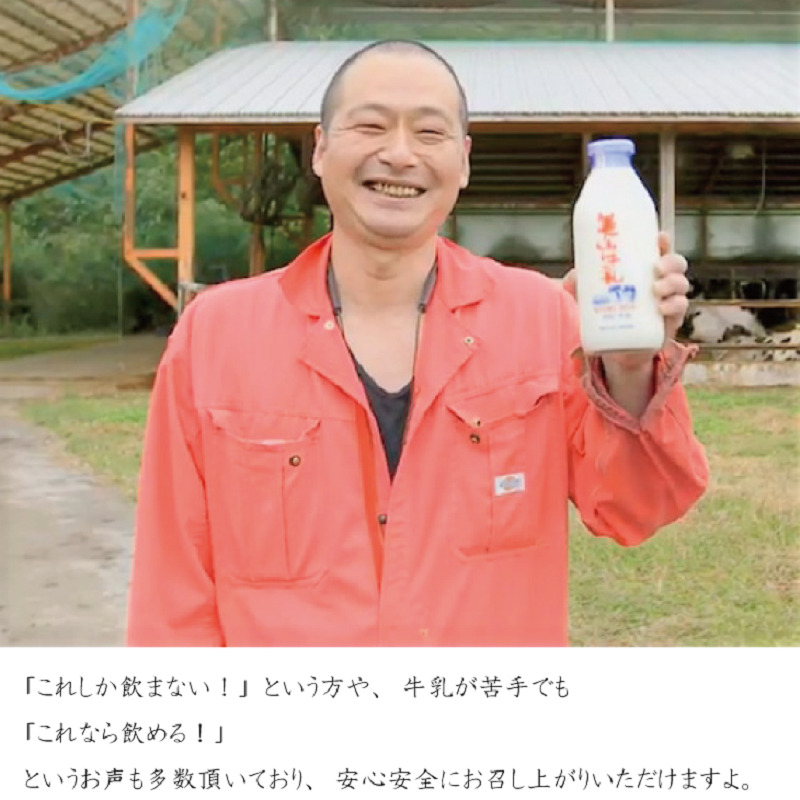 牛乳 京都 美山牛乳 200ml ×10本 セット 美山町 お取り寄せ パック 紙パック 200mL ※北海道・沖縄・離島への発送不可 