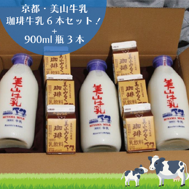 【京都府南丹市】牛乳 京都 美山牛乳 瓶 900ml ×3本 珈琲牛乳 200ml ×6本 詰め合わせ セット 美山町 お取り寄せ コーヒー牛乳 パック ※北海道・沖縄・離島への発送不可