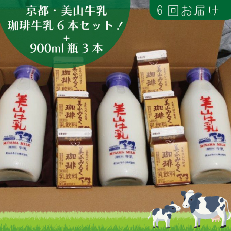 ys{Osz  6 s R r 900ml ×3{ 苍 200ml ×6{ lߍ킹 Zbg R  R[q[ pbN  y 6 kCEEւ̔s