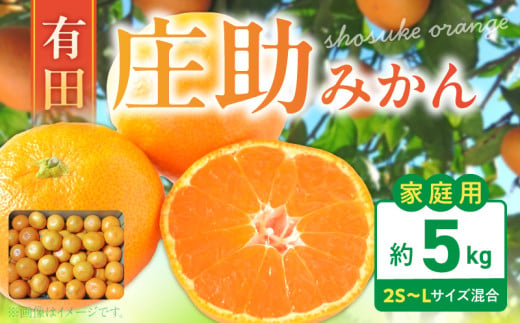 BK6015_【2026年先行予約】庄助みかん (家庭用・サイズ混合)  5kg 