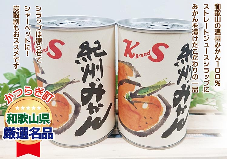 【2025年3月中旬より発送予定】紀州のみかん缶詰（みかん果汁入りシラップ）435g×12缶セット◇｜柑橘 かんきつ フルーツ 果物 蜜柑 缶詰 みかん 常温保存 防災 非常食 キャンプ アウトドア 美浜町