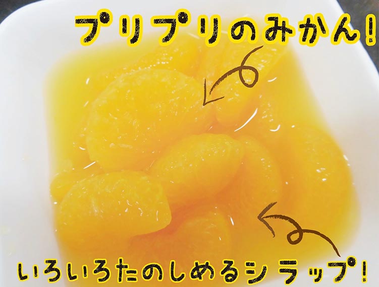 【2025年3月中旬より発送予定】紀州のみかん缶詰（みかん果汁入りシラップ）435g×12缶セット◇｜柑橘 かんきつ フルーツ 果物 蜜柑 缶詰 みかん 常温保存 防災 非常食 キャンプ アウトドア 美浜町