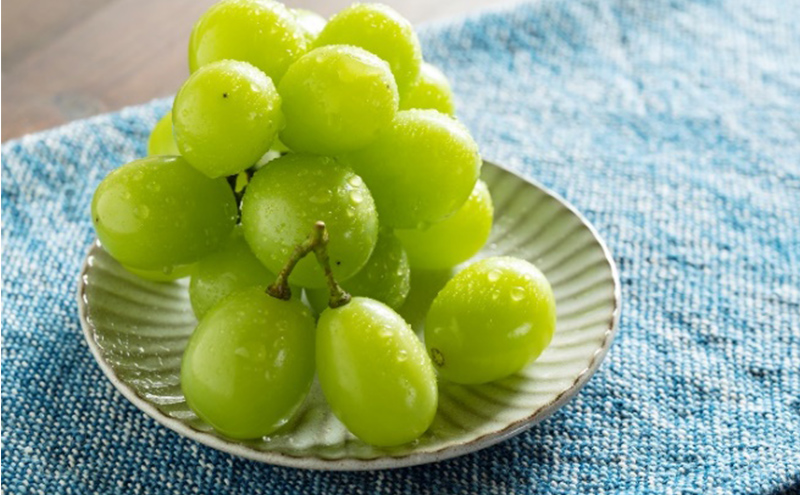 ぶどう 2026年 先行予約 特選 シャイン マスカット 晴王 1房 約700g ブドウ 葡萄  岡山県産 国産 フルーツ 果物 ギフト いろは堂 