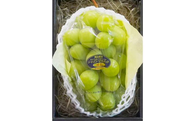 ぶどう 2026年 先行予約 特選 シャイン マスカット 晴王 1房 約600g ブドウ 葡萄  岡山県産 国産 フルーツ 果物 ギフト いろは堂 