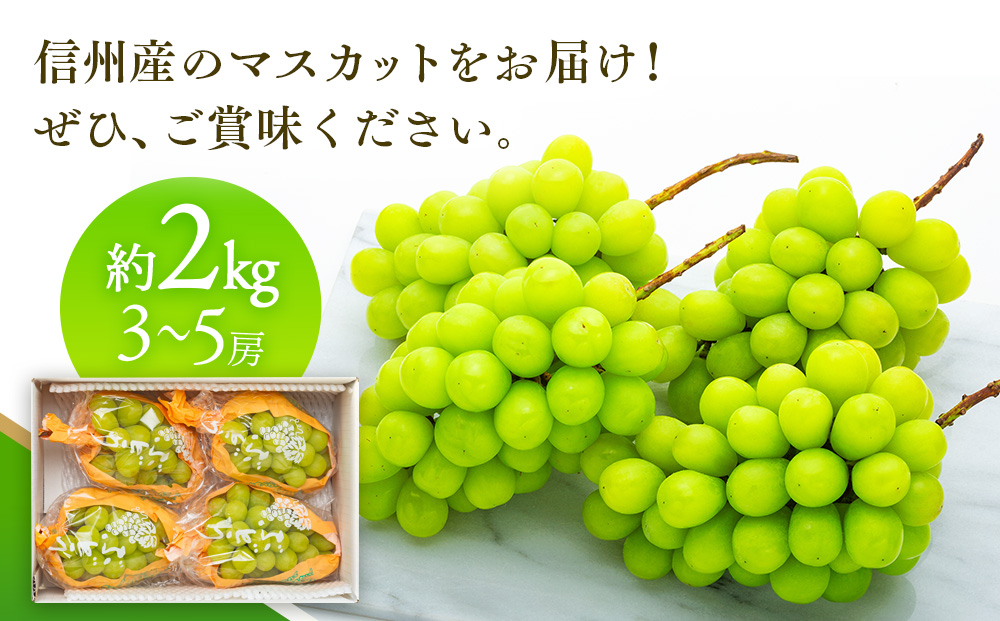 長野県箕輪町のふるさと納税 シャインマスカット 2kg 3～5房 ぶどう 葡萄 ブドウ マスカット 果物 くだもの フルーツ 旬の果物 旬のフルーツ 信州 長野 長野県