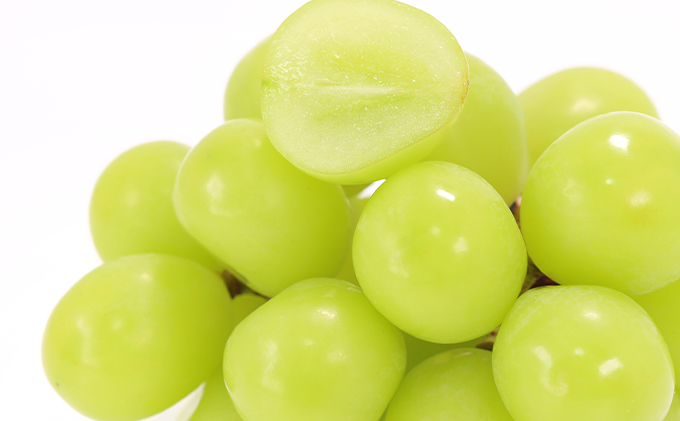 ぶどう 2026年 先行予約 シャイン マスカット 晴王 600g以上×1房 種無し ブドウ 葡萄  岡山県産 国産 フルーツ 果物 ギフト 